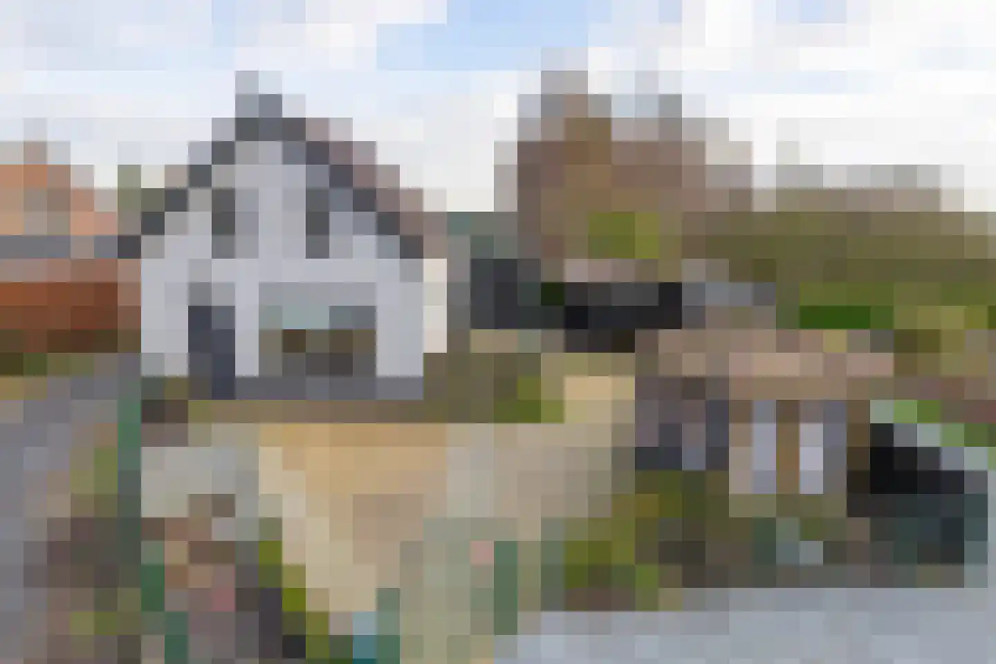 Ruigendijk 7 Oudenhoorn thumbnail 8
