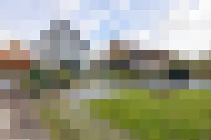 Ruigendijk 7 Oudenhoorn thumbnail 9