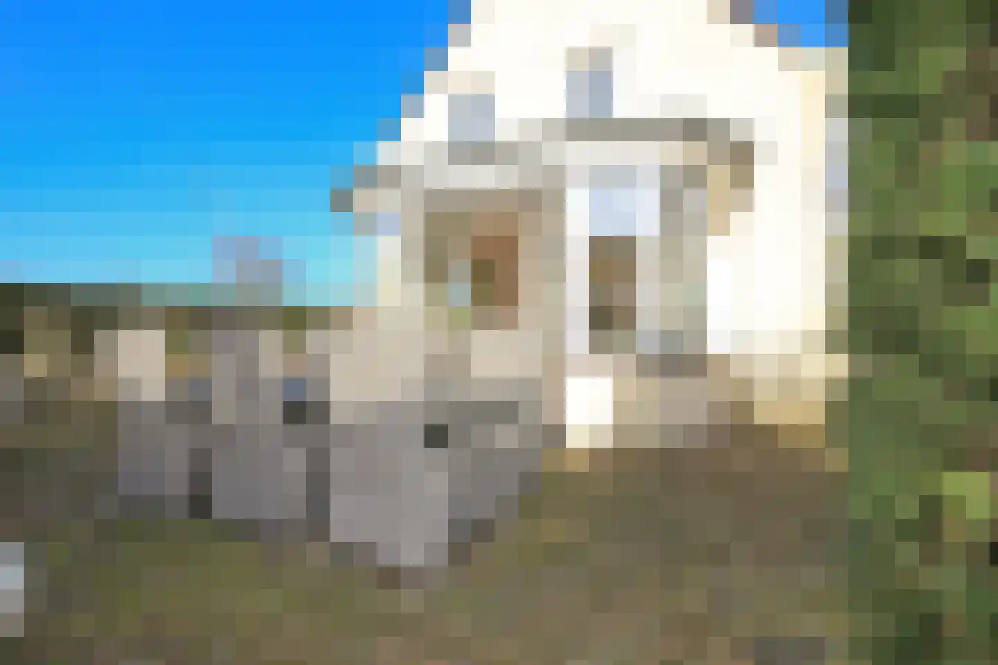 Ruigenhoek 1 De Zilk thumbnail 16
