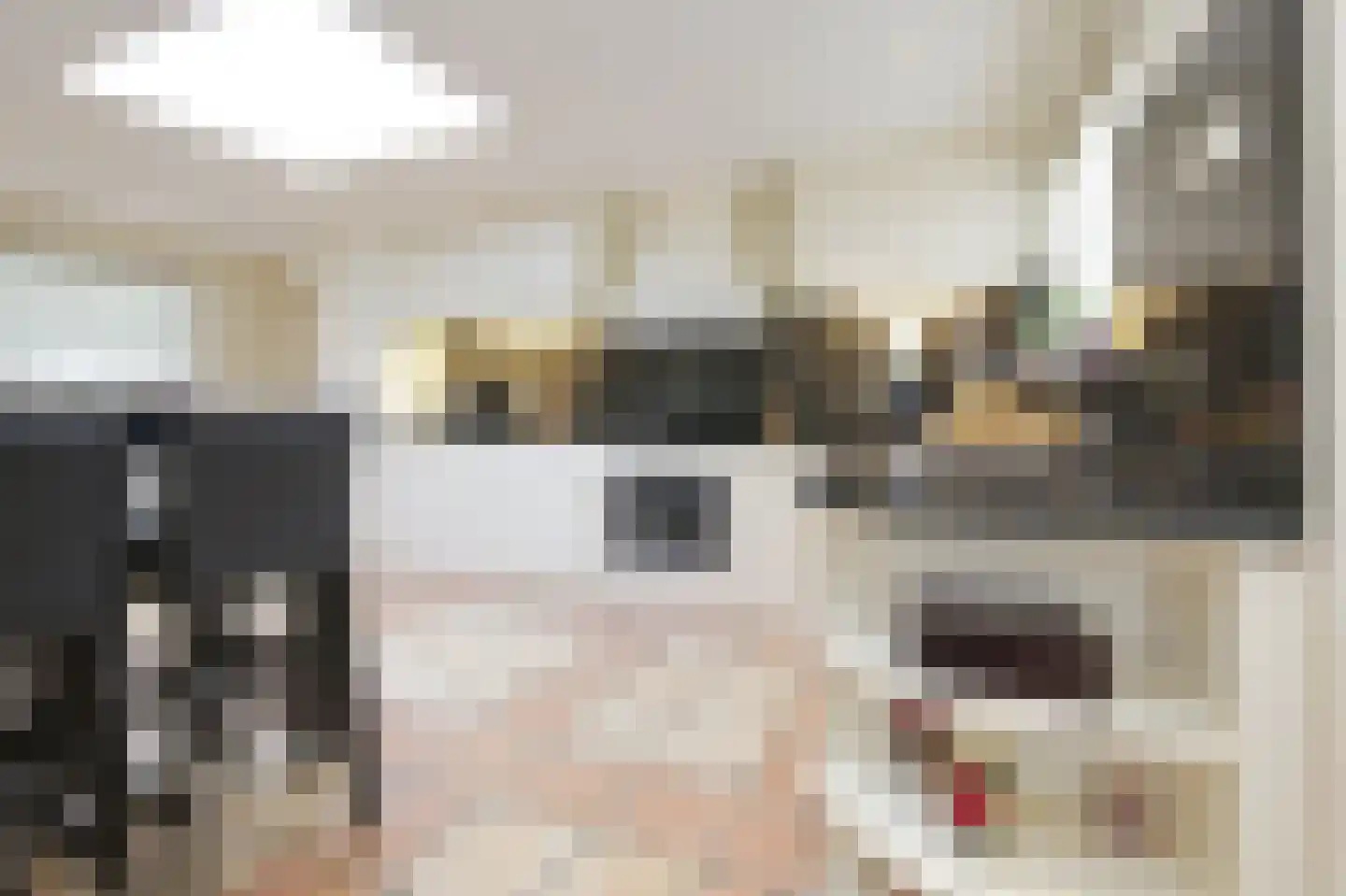 Ruigenhoek 1 De Zilk thumbnail 17