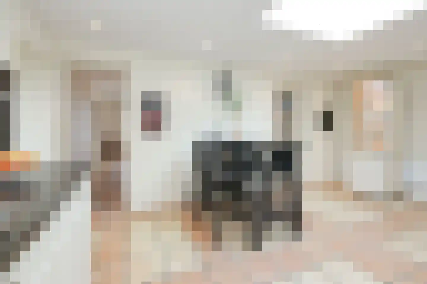 Ruigenhoek 1 De Zilk thumbnail 18