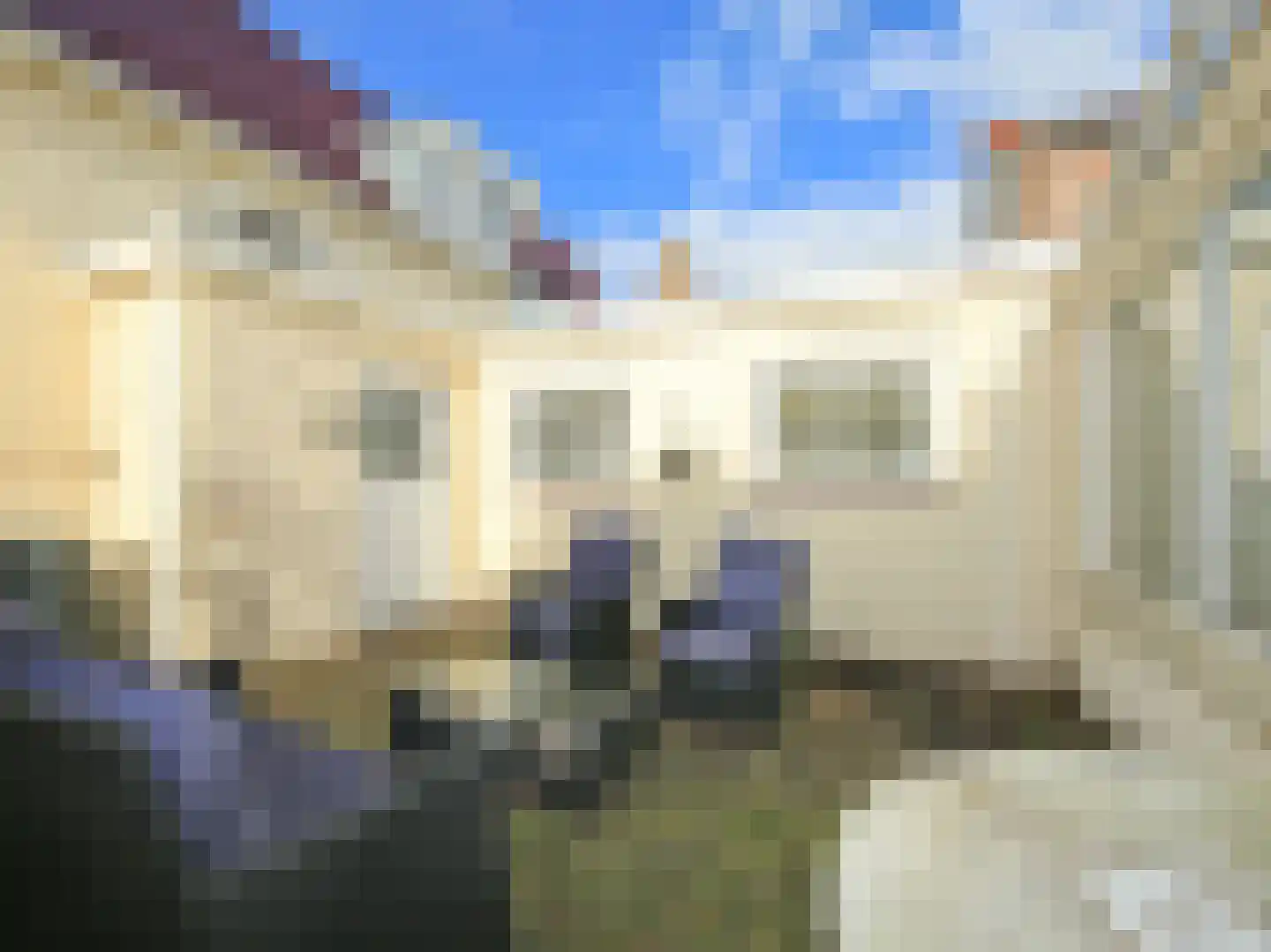 Ruigenhoek 1 De Zilk thumbnail 21