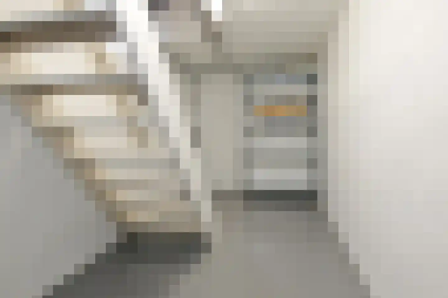 Ruigenhoek 1 De Zilk thumbnail 24