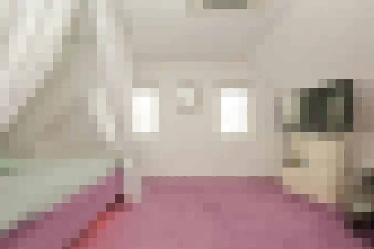 Ruigenhoek 1 De Zilk thumbnail 25