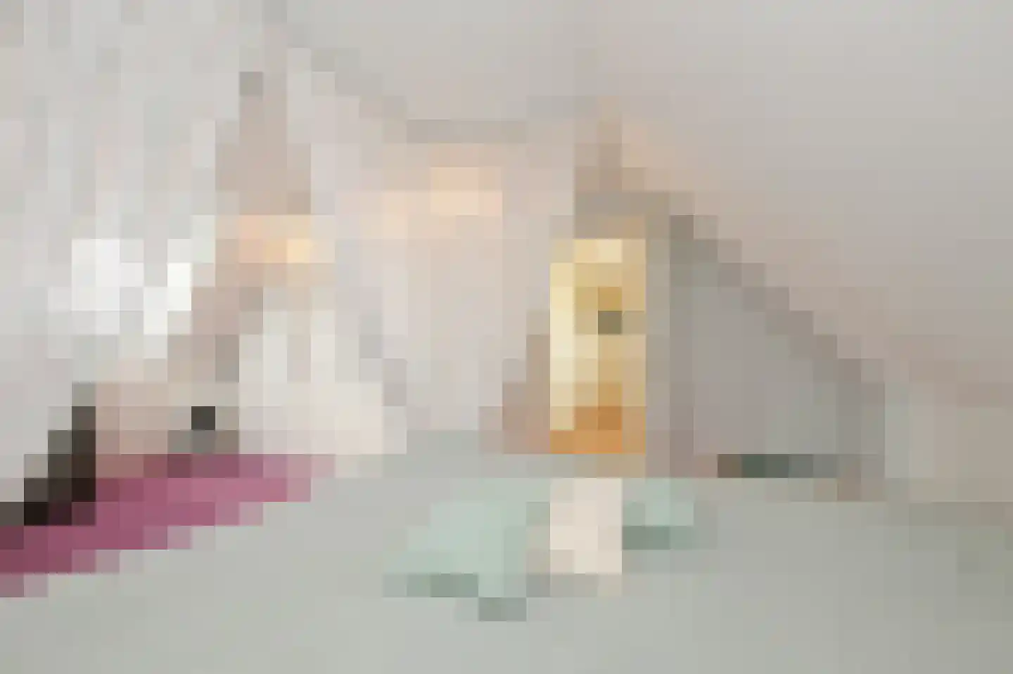 Ruigenhoek 1 De Zilk thumbnail 26