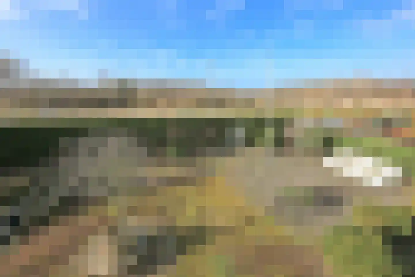 Ruigenhoek 1 De Zilk thumbnail 28