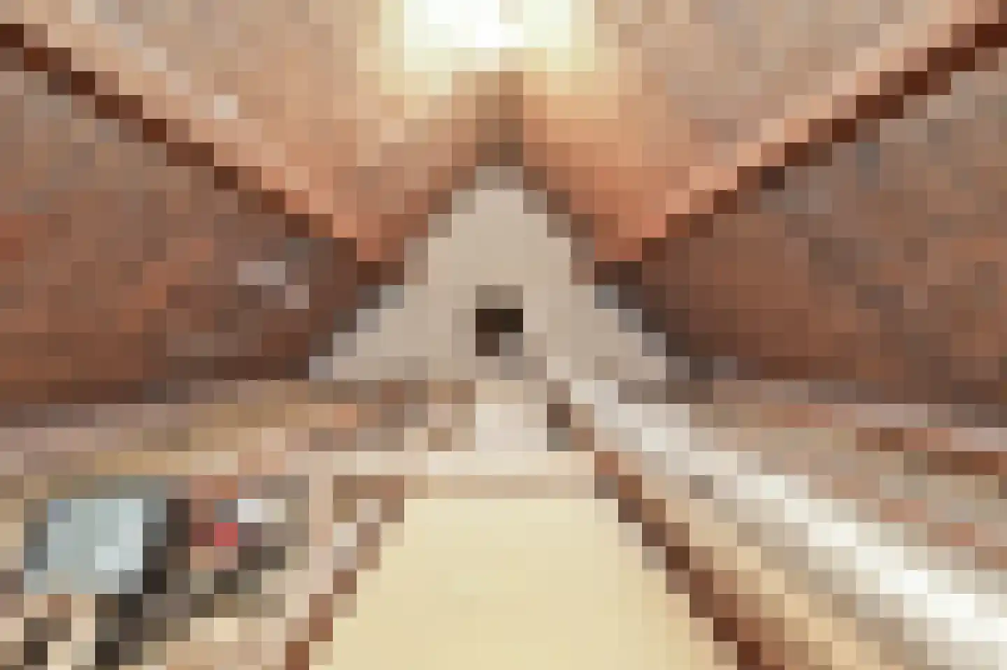 Ruigenhoek 1 De Zilk thumbnail 34
