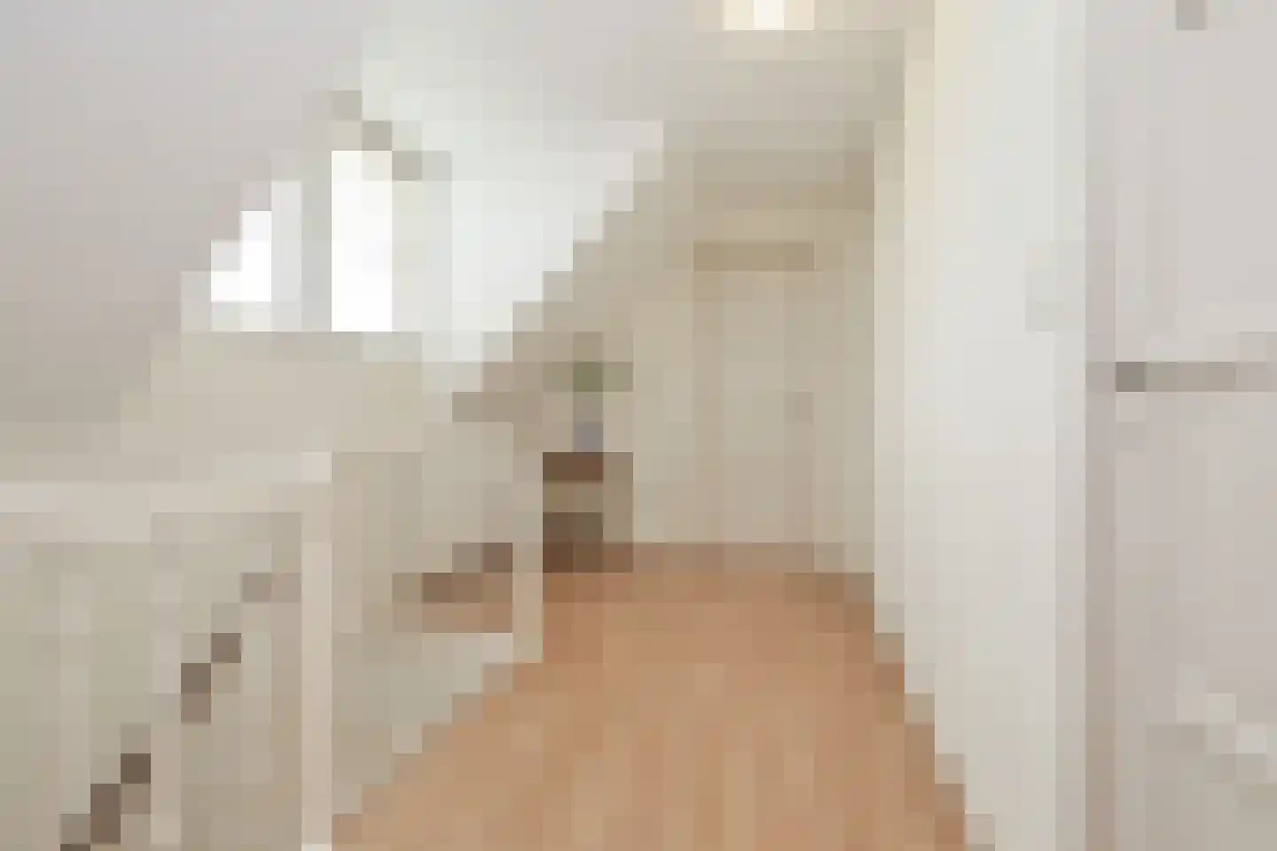 Ruigenhoek 1 De Zilk thumbnail 35