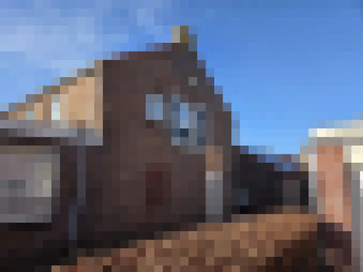 Ruigenhoek 1 De Zilk thumbnail 38