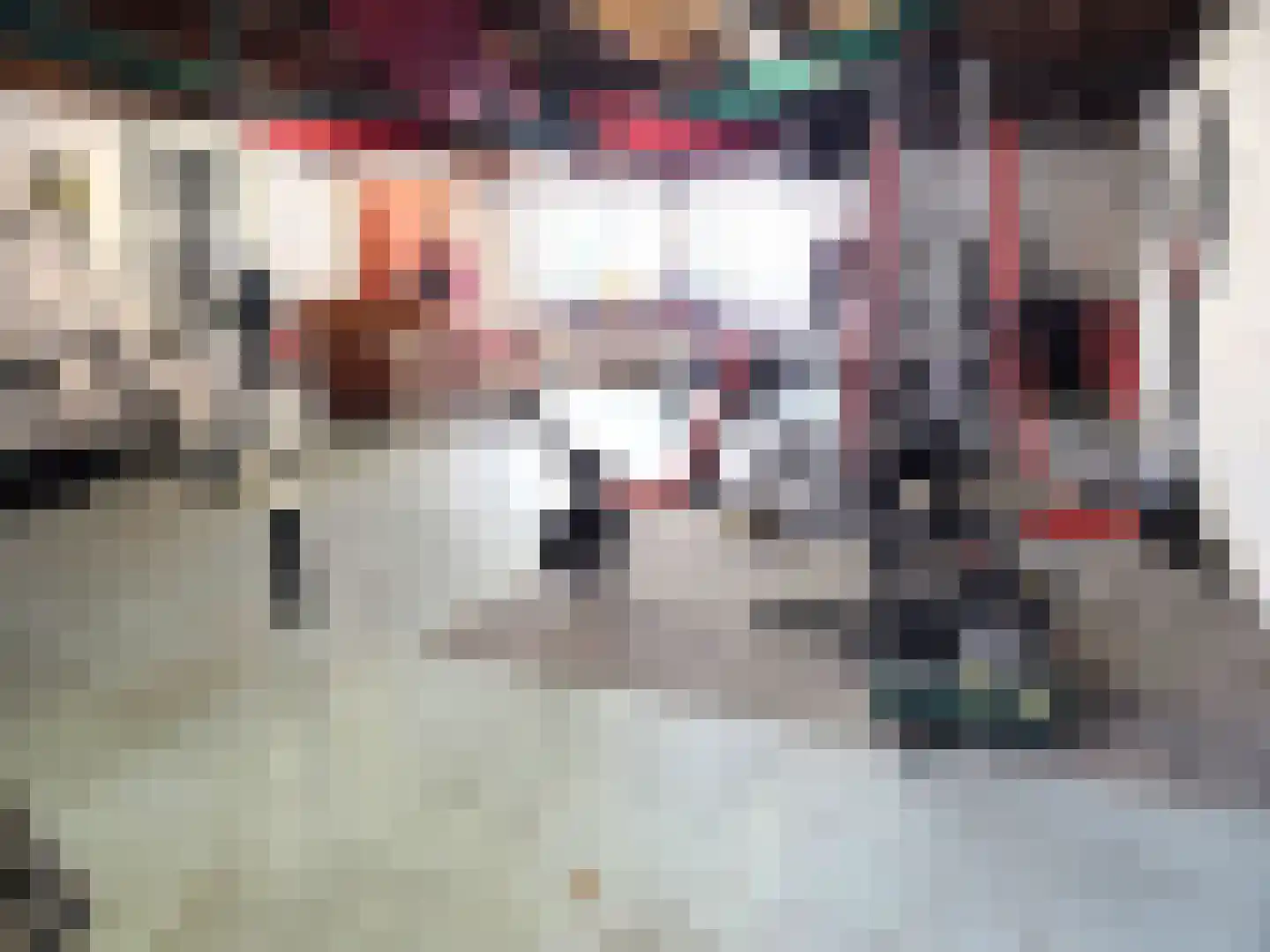 Ruigenhoek 1 De Zilk thumbnail 39