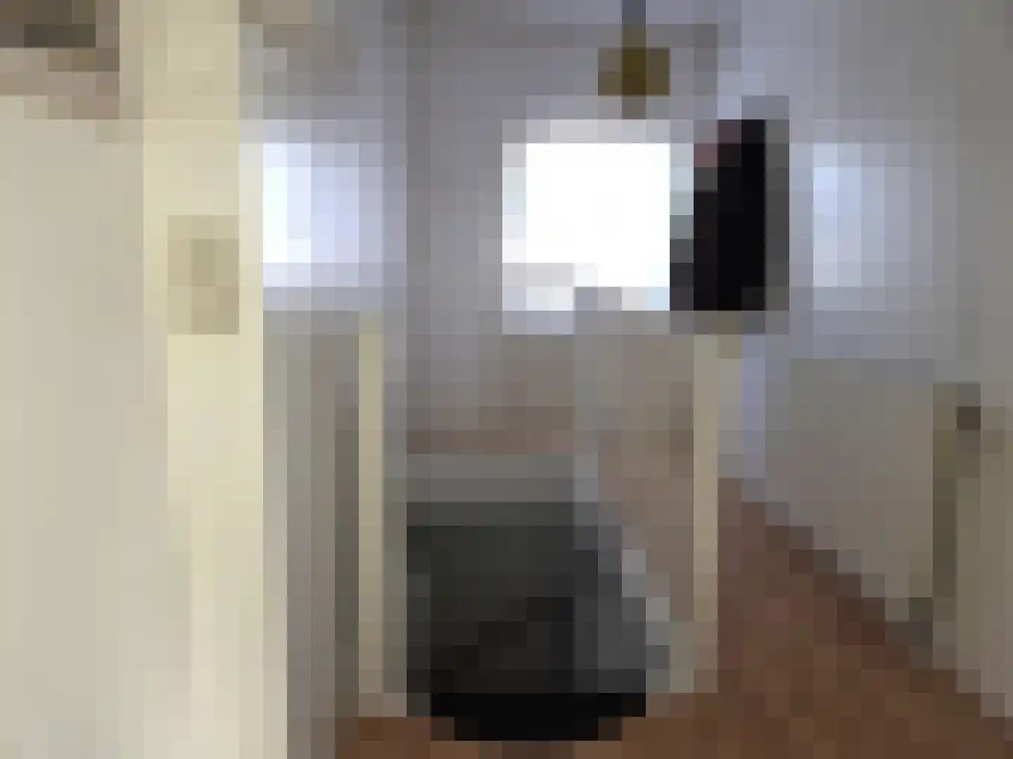 Ruigenhoek 1 De Zilk thumbnail 43