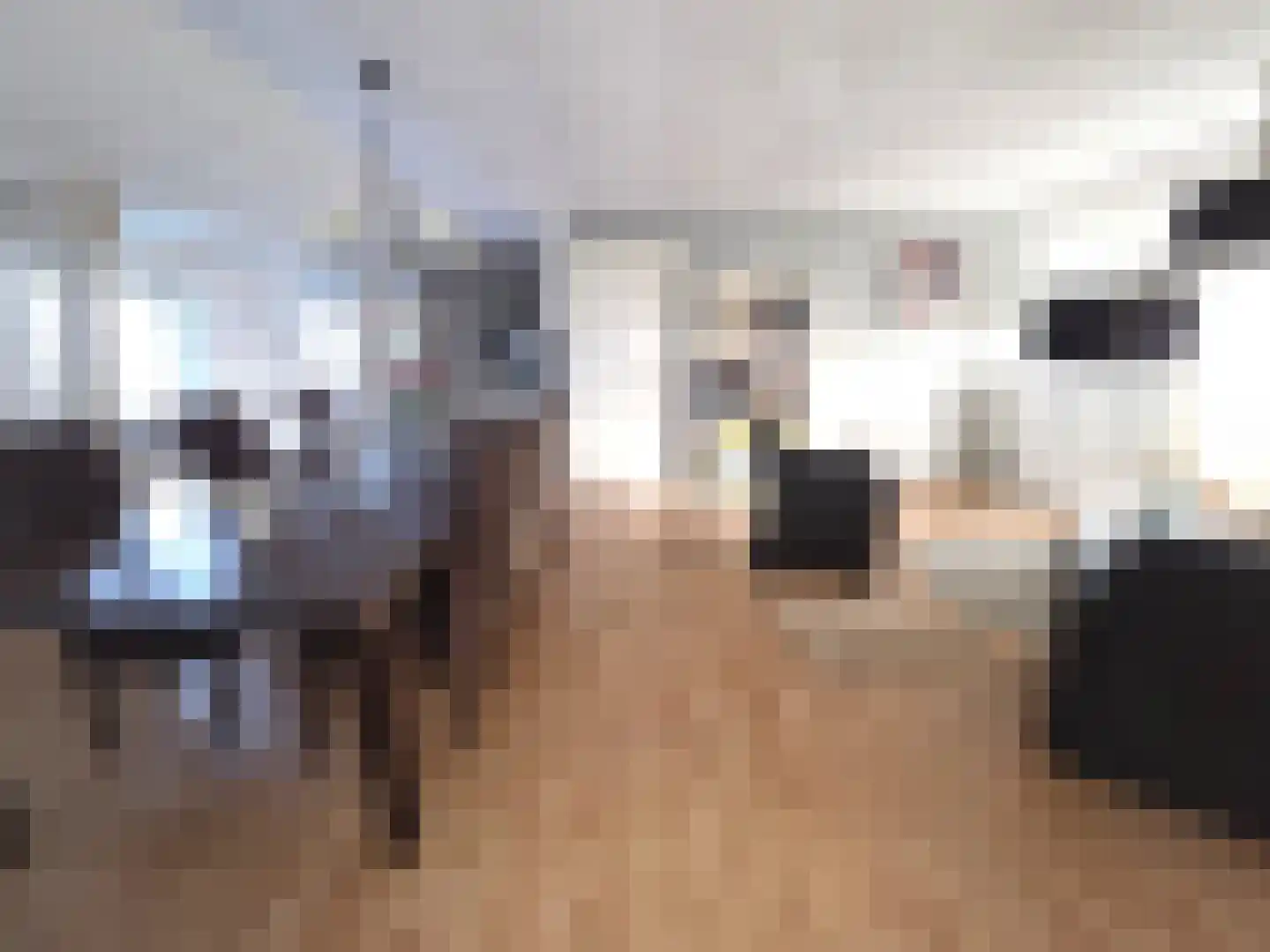 Ruigenhoek 1 De Zilk thumbnail 44