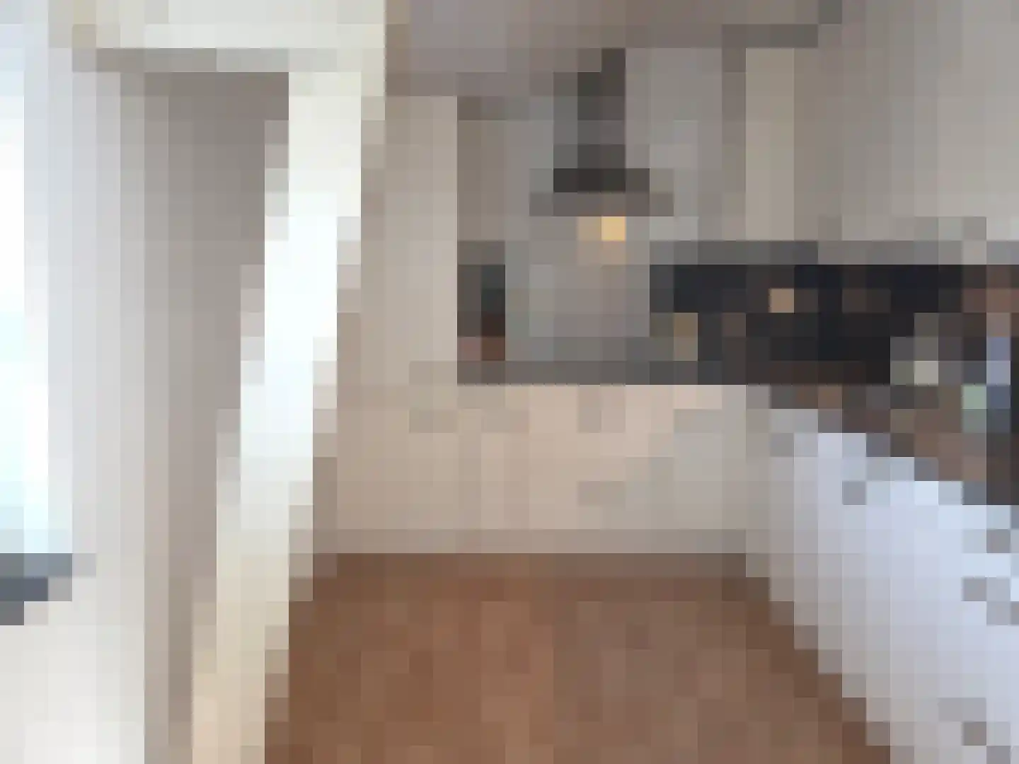 Ruigenhoek 1 De Zilk thumbnail 45