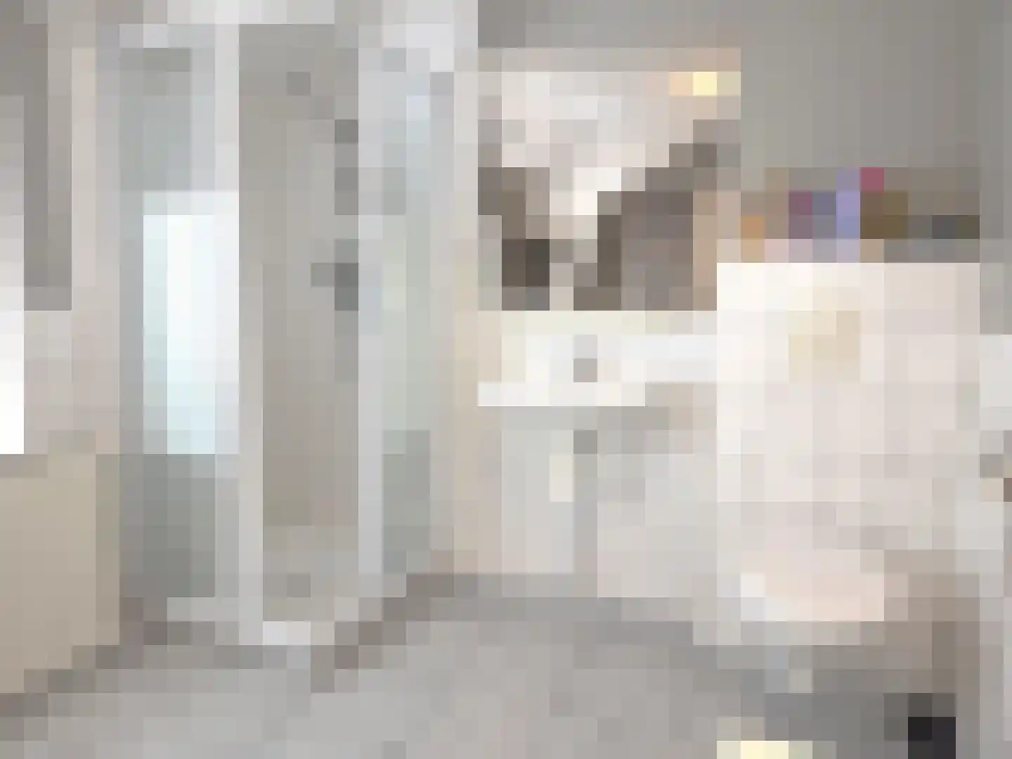 Ruigenhoek 1 De Zilk thumbnail 48