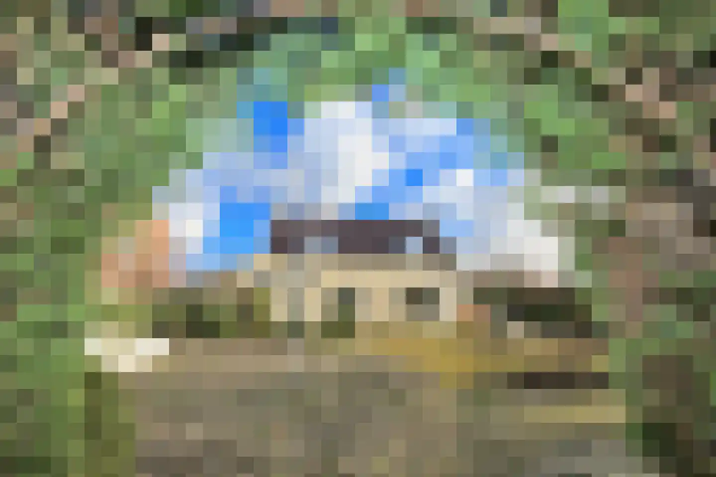 Ruigenhoek 1 De Zilk thumbnail 50