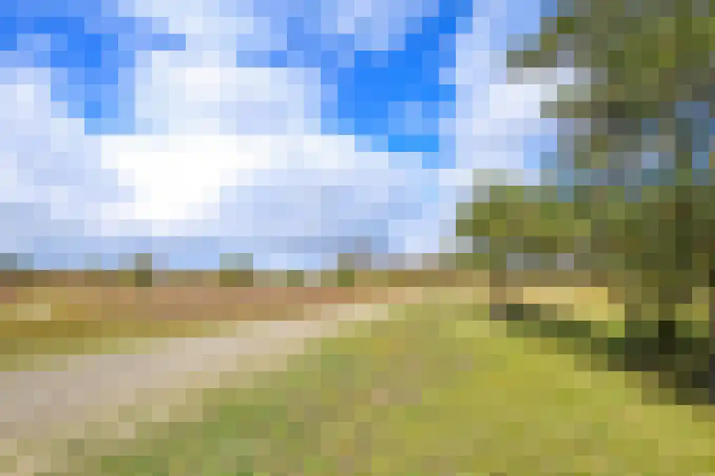 Ruigenhoek 1 De Zilk thumbnail 57