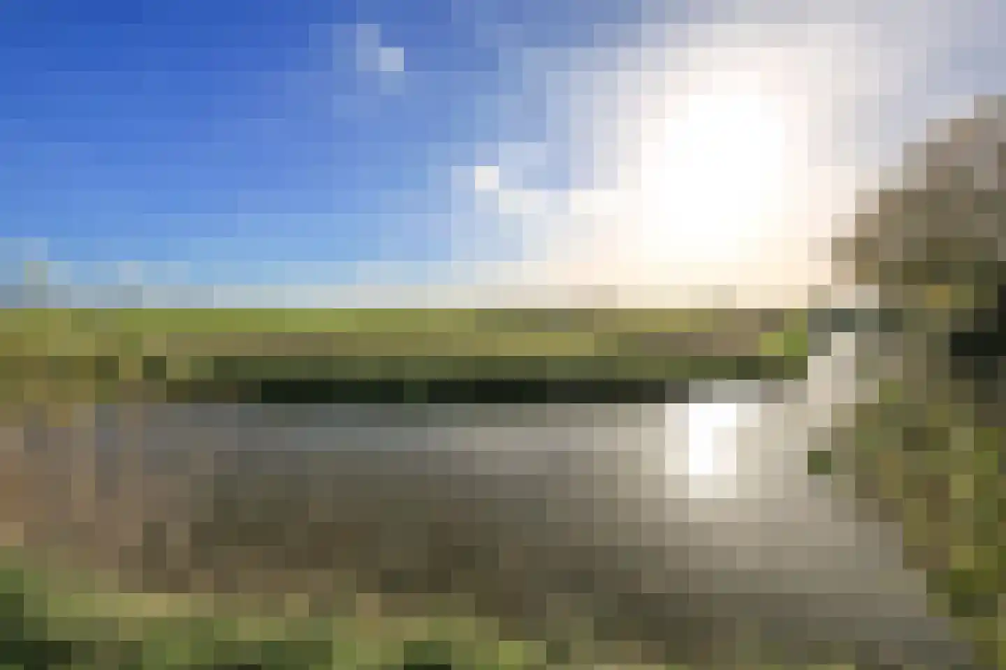 Ruigenhoek 1 De Zilk thumbnail 59