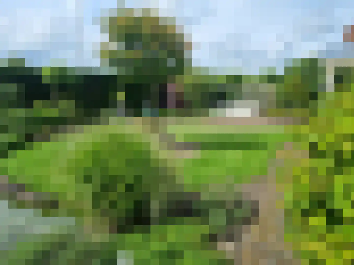 Ruigenhoek 1 De Zilk thumbnail 62