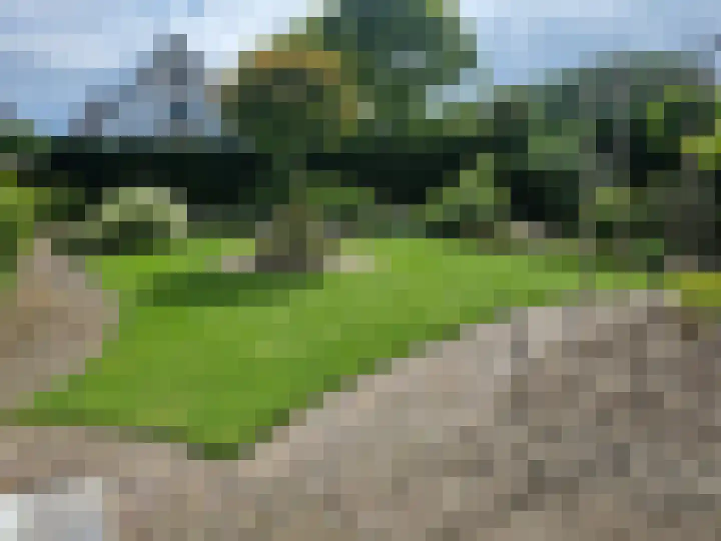 Ruigenhoek 1 De Zilk thumbnail 63