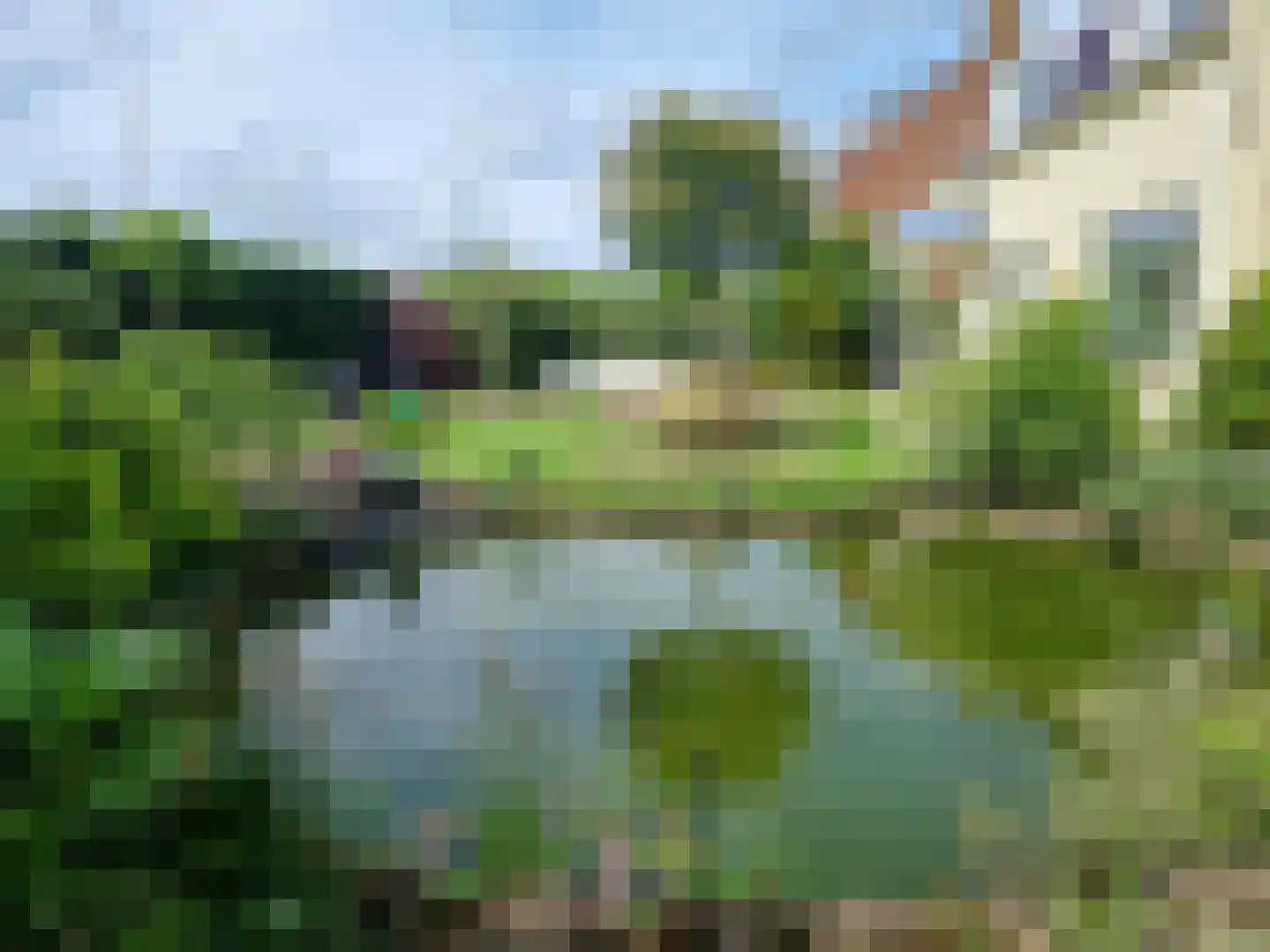 Ruigenhoek 1 De Zilk thumbnail 64