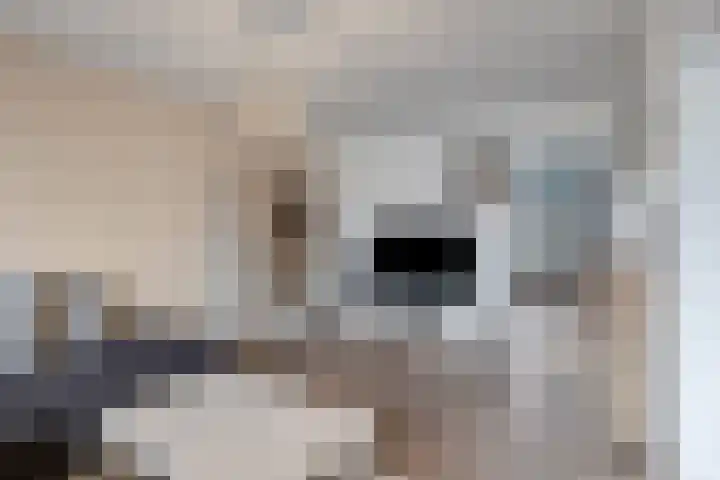 Ruigenhoek 108 Rotterdam thumbnail 11
