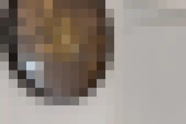 Ruigenhoek 108 Rotterdam thumbnail 12