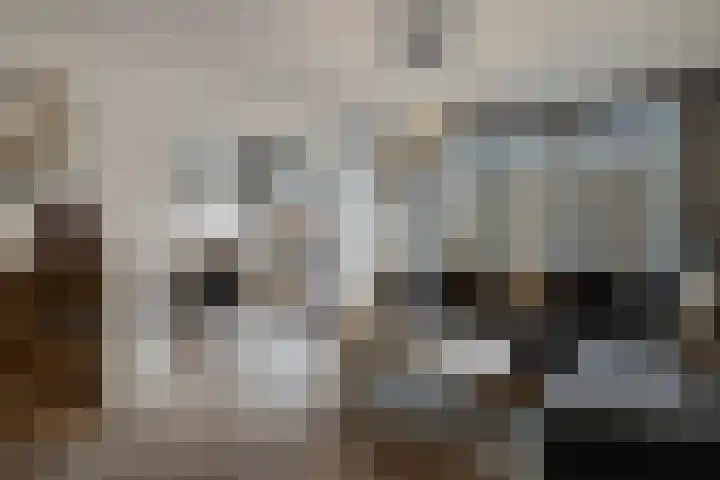 Ruigenhoek 108 Rotterdam thumbnail 20