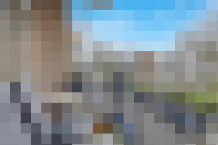 Ruigenhoek 108 Rotterdam thumbnail 22