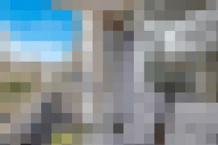 Ruigenhoek 108 Rotterdam thumbnail 23