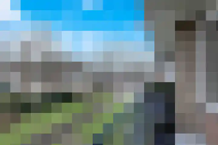 Ruigenhoek 108 Rotterdam thumbnail 27