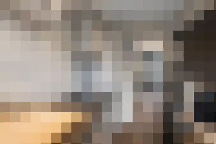 Ruigenhoek 108 Rotterdam thumbnail 28