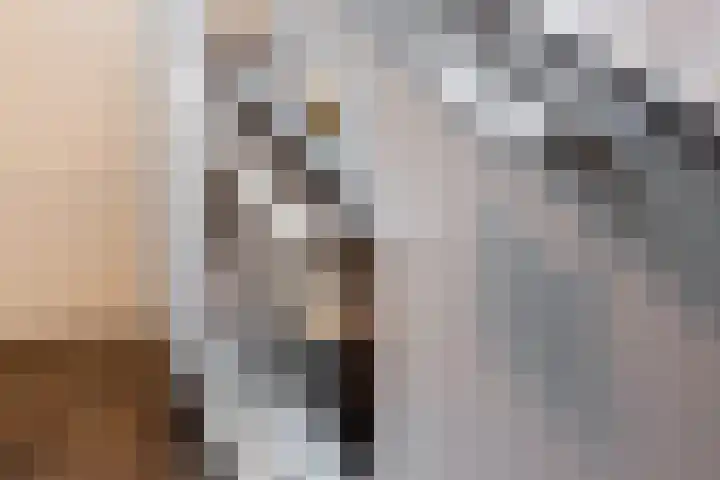 Ruigenhoek 108 Rotterdam thumbnail 31