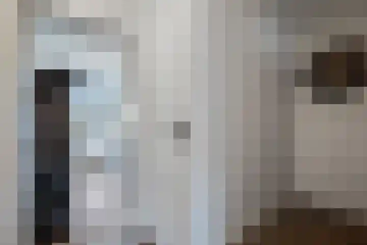 Ruigenhoek 108 Rotterdam thumbnail 33