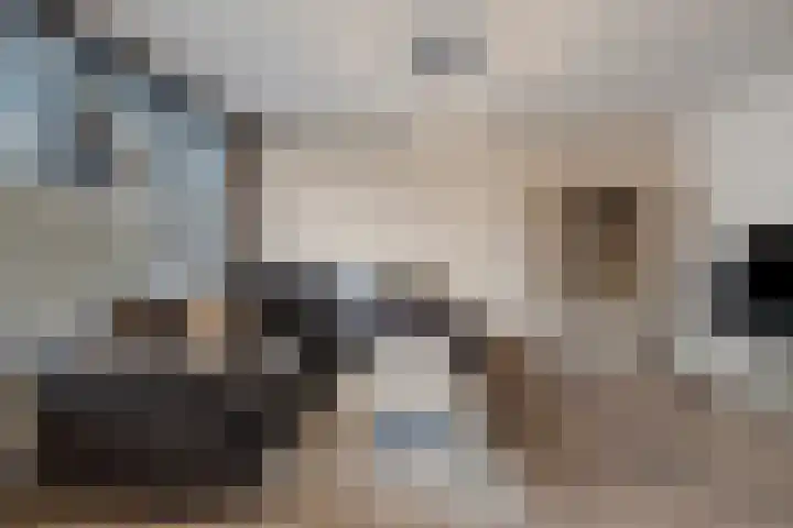 Ruigenhoek 108 Rotterdam thumbnail 8