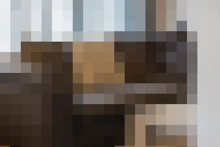 Ruigenhoek 108 Rotterdam thumbnail 9
