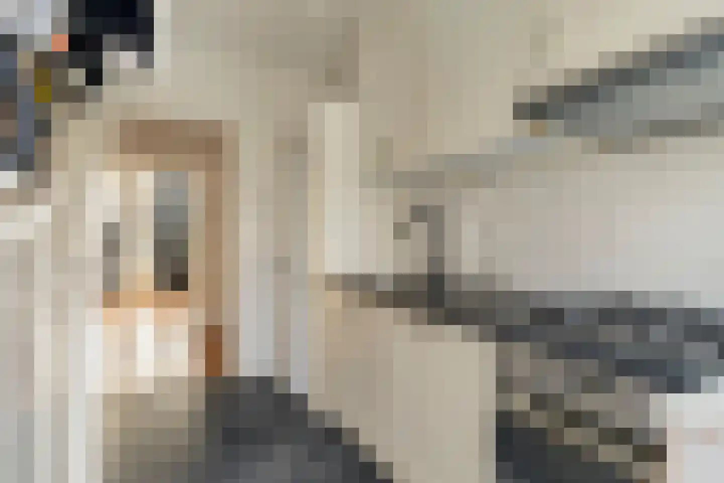 Ruigenhoek 132 Rotterdam thumbnail 11