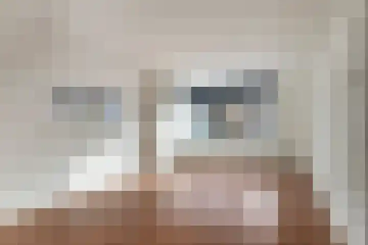 Ruigenhoek 132 Rotterdam thumbnail 6