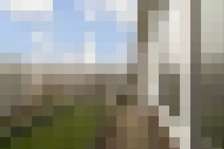 Ruigenhoek 29 Rotterdam thumbnail 16