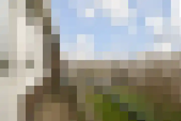 Ruigenhoek 29 Rotterdam thumbnail 17