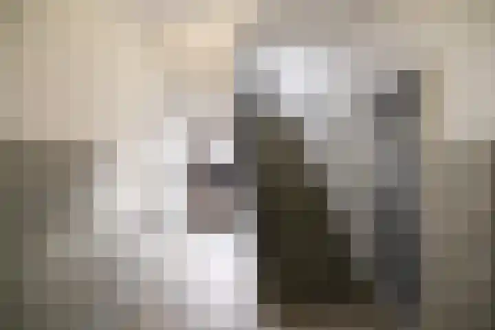 Ruigenhoek 29 Rotterdam thumbnail 23