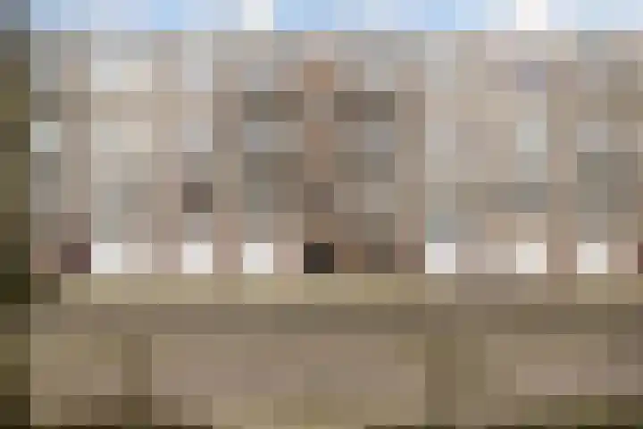 Ruigenhoek 29 Rotterdam thumbnail 27