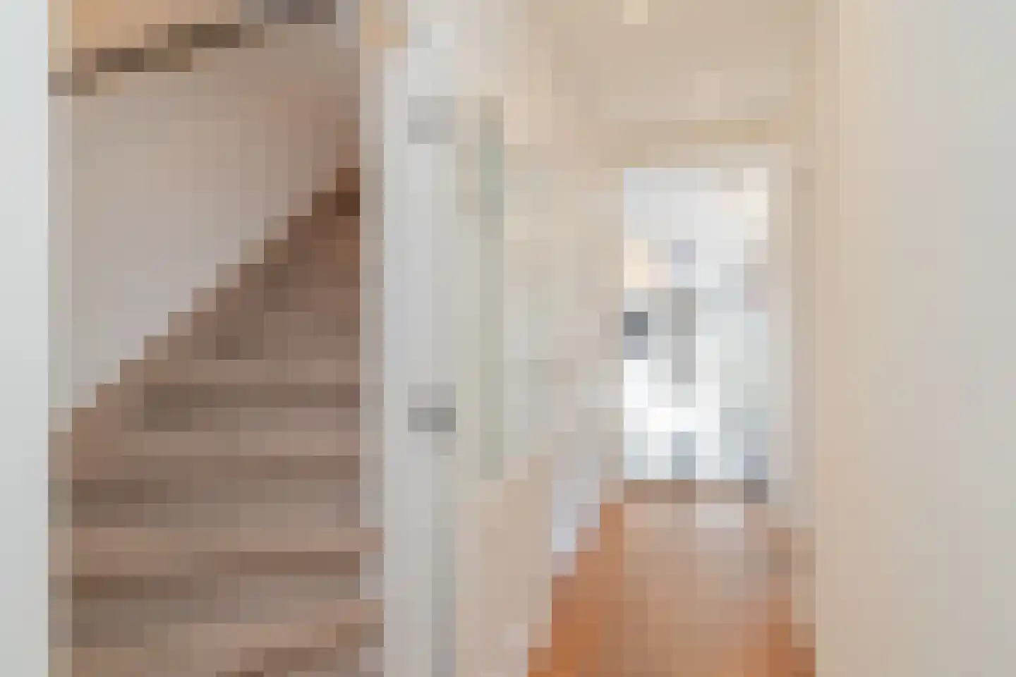 Ruigenhoek 3 De Zilk thumbnail 10