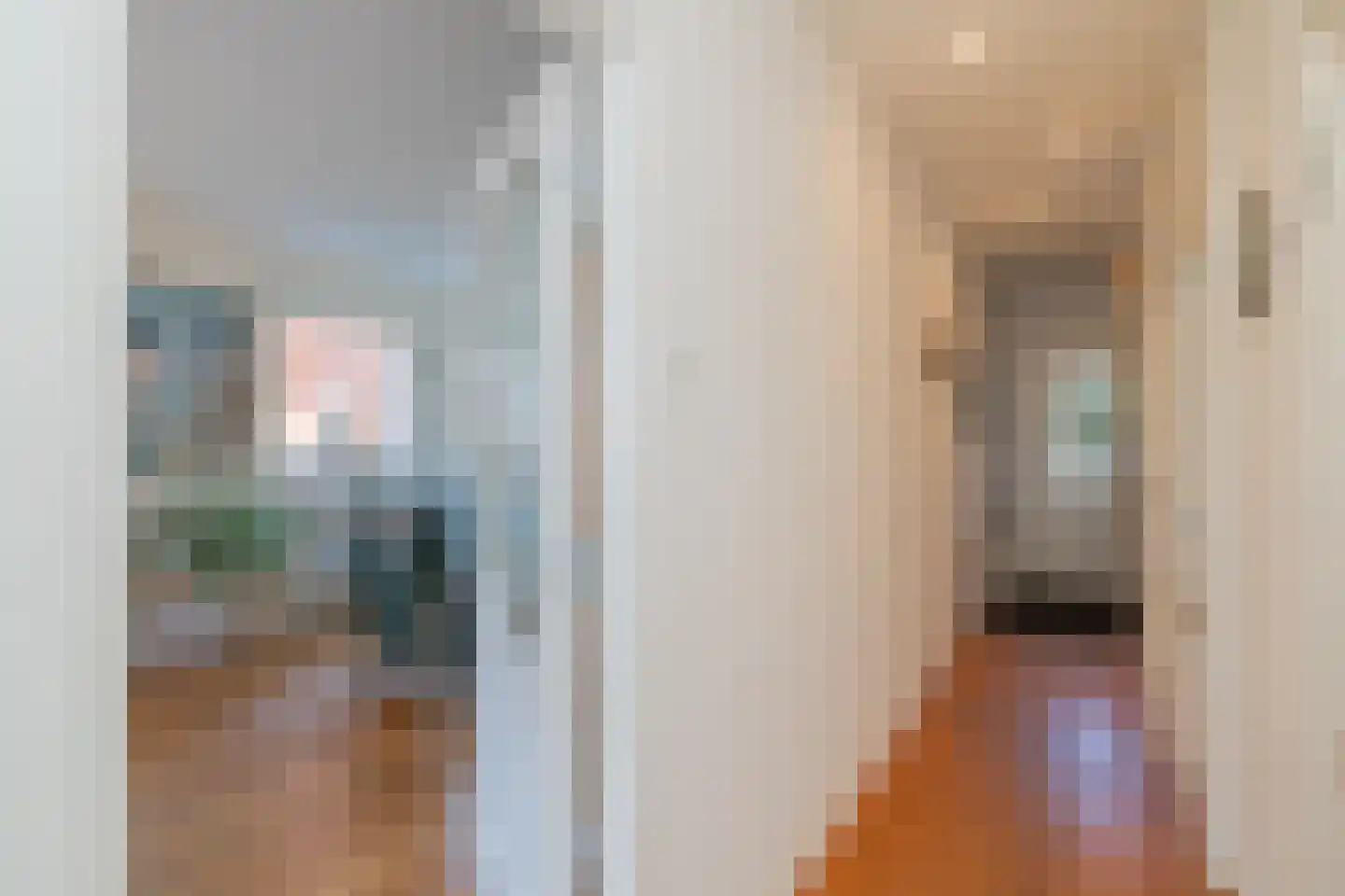 Ruigenhoek 3 De Zilk thumbnail 11