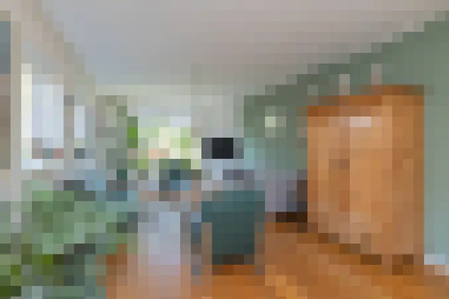 Ruigenhoek 3 De Zilk thumbnail 13