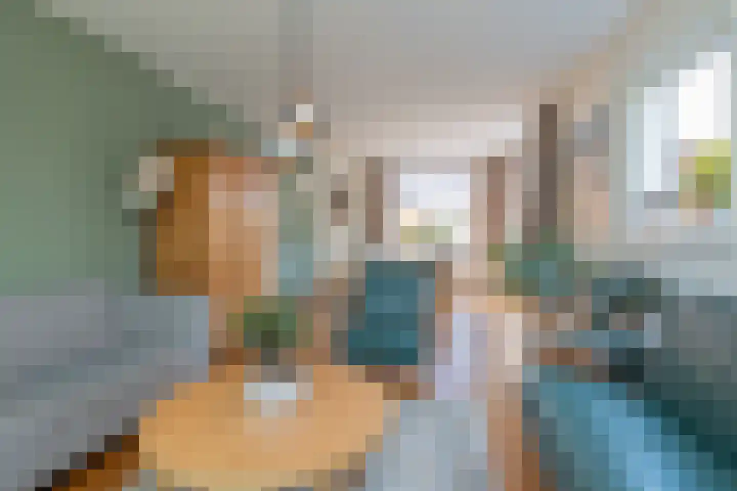 Ruigenhoek 3 De Zilk thumbnail 16