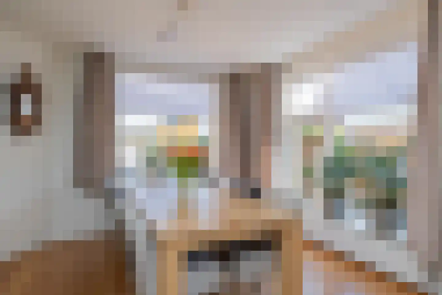 Ruigenhoek 3 De Zilk thumbnail 18