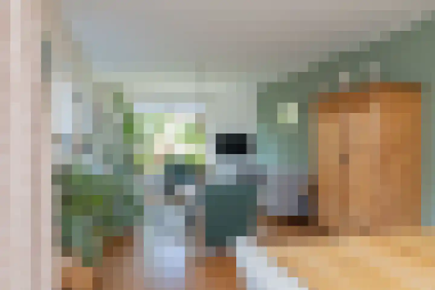 Ruigenhoek 3 De Zilk thumbnail 19