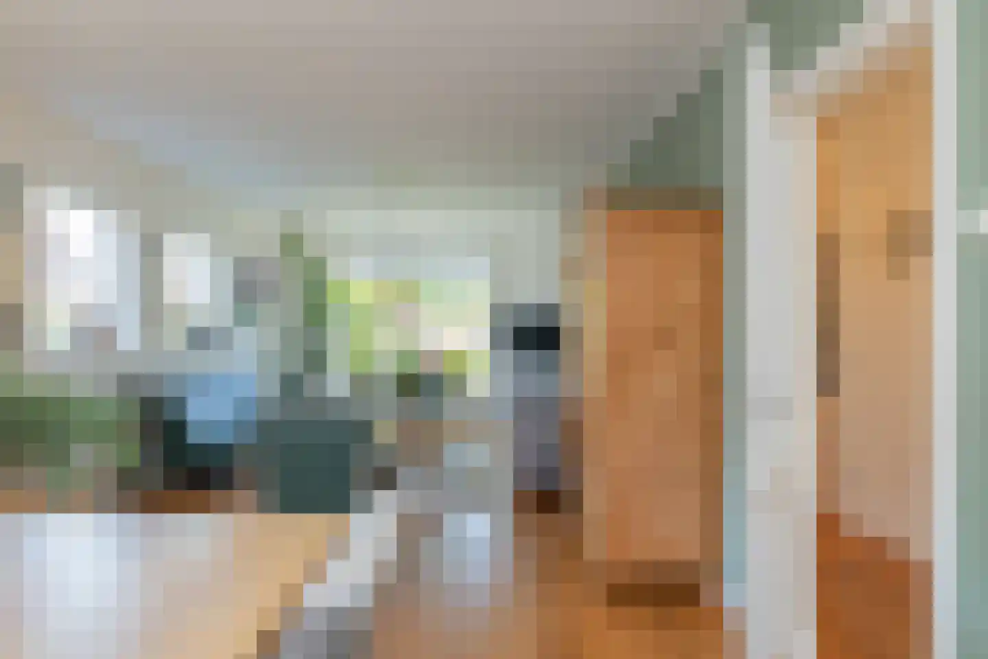 Ruigenhoek 3 De Zilk thumbnail 20