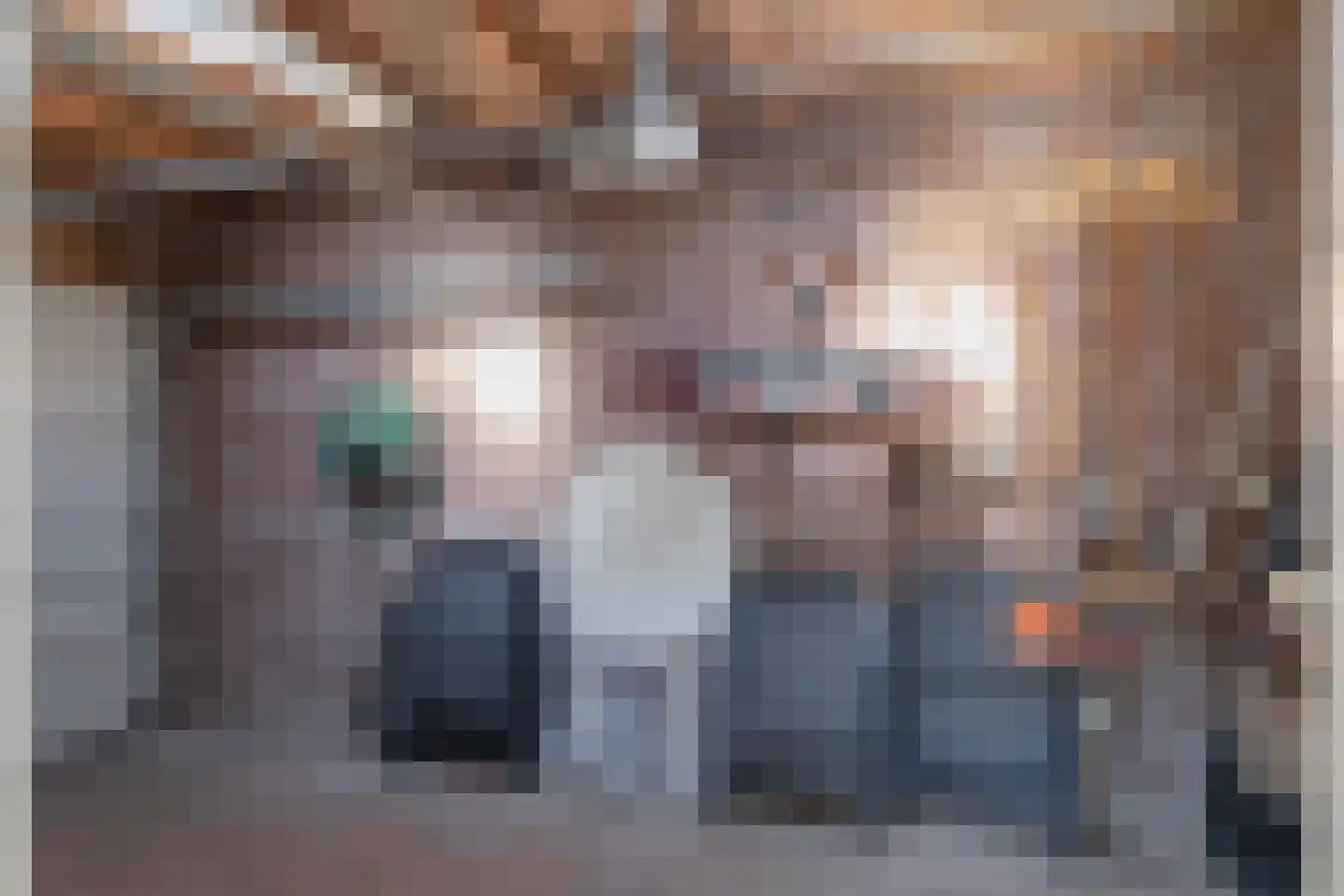 Ruigenhoek 3 De Zilk thumbnail 25