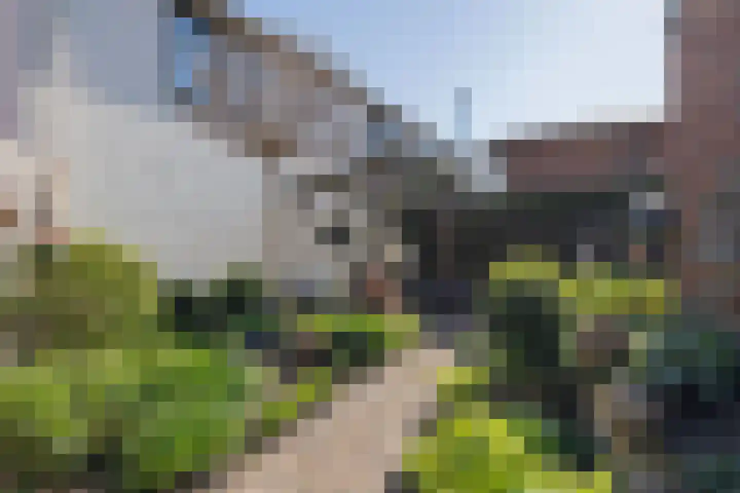Ruigenhoek 3 De Zilk thumbnail 31